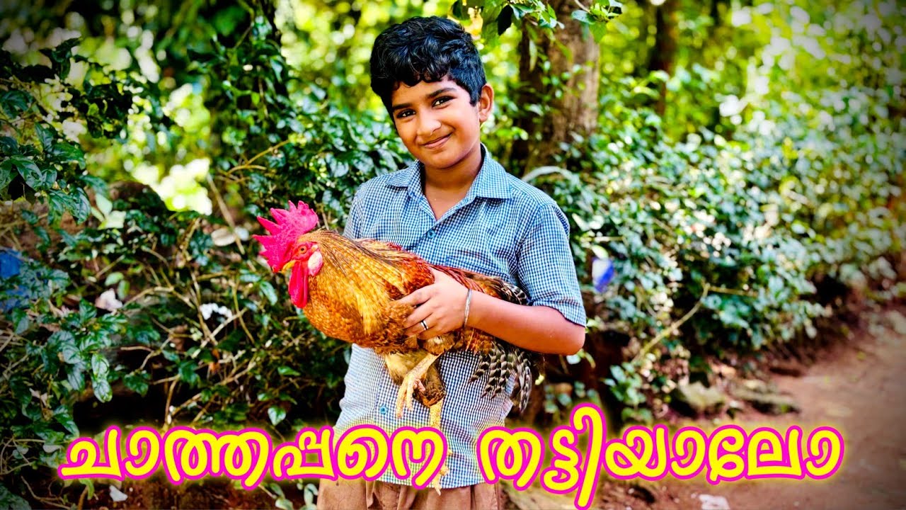 നാടൻ കോഴി അമ്മ തന്നെ ഉണ്ടാക്കണം👌👌💯💯😋😋