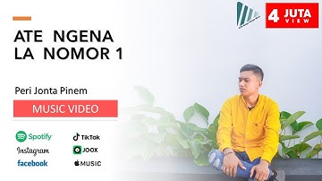 Lagu Karo Terbaru 2022 | Ate Ngena La Nomor Sada | Peri Jonta Pinem