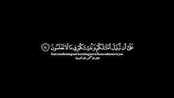 كرومات قرأن خلفية سوداء ﴿أفرأيتم ما تمنون﴾ [الواقعة: ٥٨] القارئ محمد ابو خوصة #قرآن #كرومات