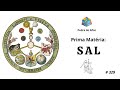 Alquimia: Sal - Prima Matéria