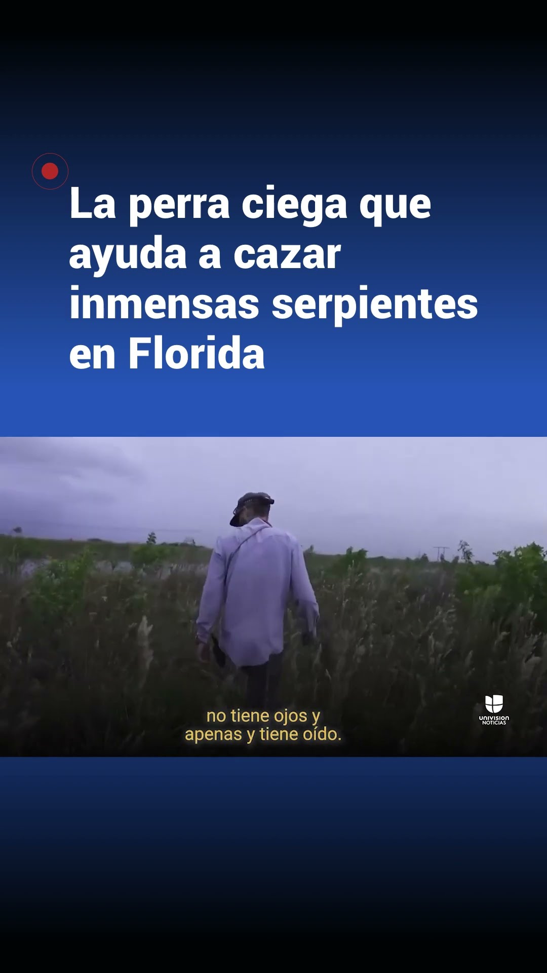 Esta perrita ciega ayuda a cazar inmensas serpientes en Florida