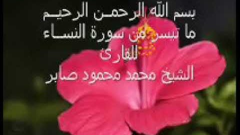 الشيخ محمود محمد صابر  رائعة سورة النساء التلا وة النادرة التي يبحث عنها الكثير