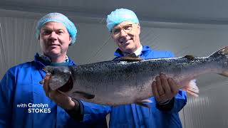 Big fish, big deal for Bay de Verde’s new $16M salmon processing line