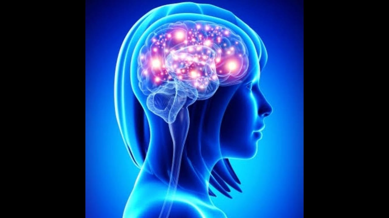 Natural Brain 5 natural brain boosters - YouTube