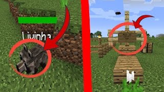 A VIDA E A MORTE DO MEU GUAXINIM : ANIMAIS FANTÁSTICOS 2# MINECRAFT