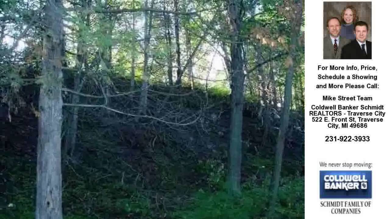 Birchview Drive, Williamsburg, MI Presented by Mike Street Team.