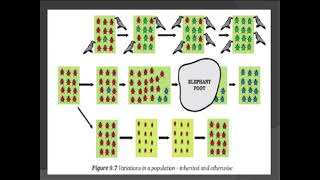 Evolution - part 1| Bio| Asap tech