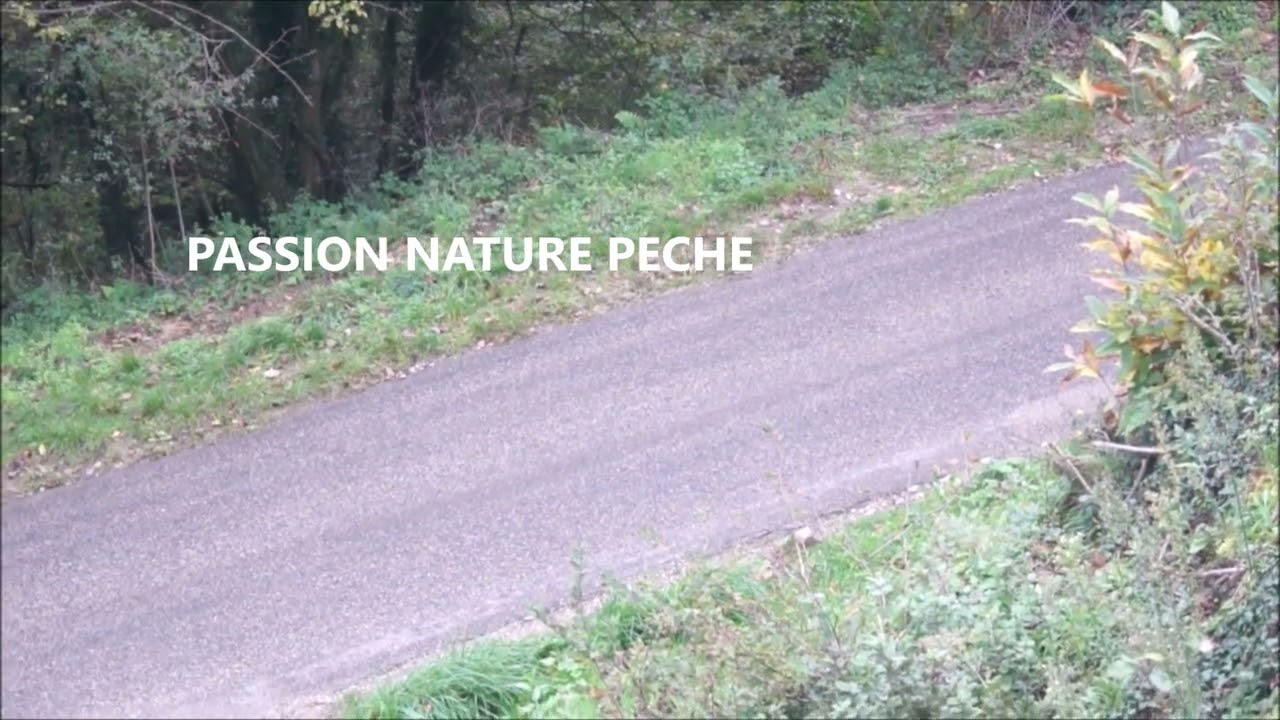 Rallye de la noix 2025