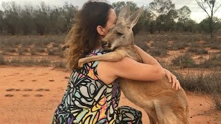 When Animals Showing Love to Humans by Their Cute Way