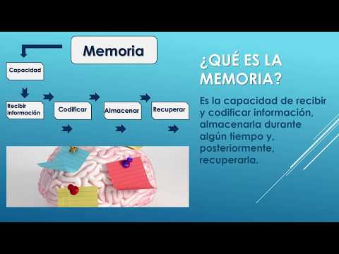 Vídeo: Què és La Memòria De Fases
