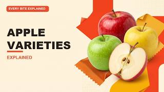 Every Apple Explained | A Visual Guide to Apples News