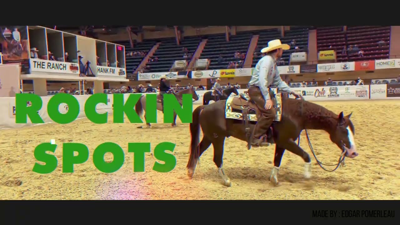 Professional Cutting Horse Video Editing (Professional video editing service)