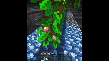 Yup level 255 is still broke, Minecraft glitched on this level, wonder why and when it will be fixed