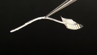 Science of Innovation: Micro-Fabrication for Cochlear Implants