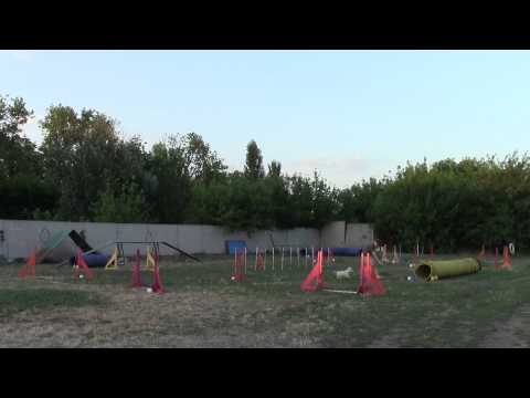 Андрей Чили 05.07 Андрей Чили 05.07