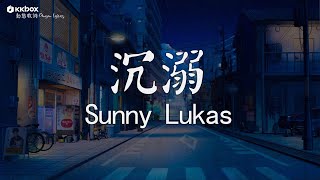 Sunny Lukas - 沉溺【動態歌詞/Pinyin Lyrics】『你讓我的心不再結冰，初雪我們圍一條圍巾，整日沉溺在你的眼睛，你的深情 望不到底。』