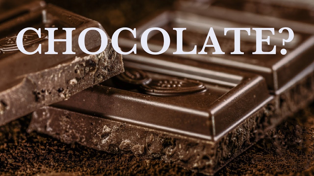 The Bitter Sweet Story of Chocolate: A Journey of Discovery | Chocolate ...