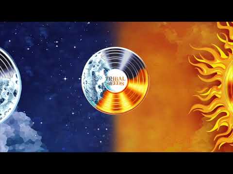 Tribal Seeds Dusk Till Dawn Feat Hector Roots Lewis Official Audio 