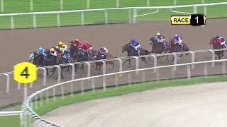 Vidéo de la course PMU PRIX WHAT'S NEW 2019 STAKES - CLASS 5 (1ER PELOTON)