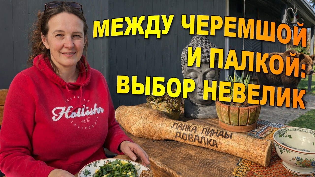 Заботы по утру. Тень деревьев.Запах черемши. Палка пИнды-дАвалка.