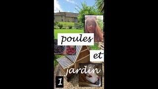 Cultiver Des Casseilles, Mûres Et Cassis... Pourquoi Pas Dans Le Parc Des Poules ?