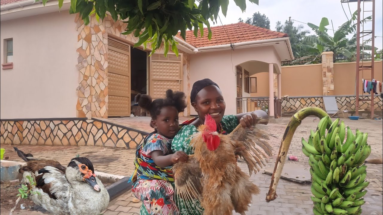 Heavy Rainy Day in Our African Village ||Cooking Sukuma wiki straight away from the garden and Rice