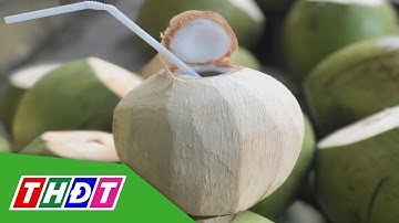Xuất khẩu dừa sang Trung Quốc tăng | THDT