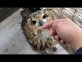 気安く触ると怪我をする?