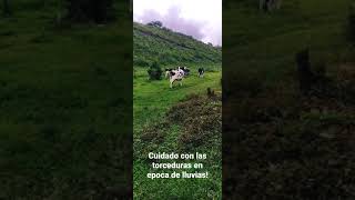 Cuidado con las torceduras en época de lluvias