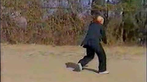 Grandmaster Wong-mantis form