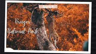 Kruger National Park Safari: Satara to Berg en Dal by Gunnland Explores 5,697 views 2 years ago 20 minutes
