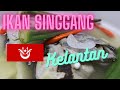 Resepi Mudah Ikan Singgang Original Kelantan