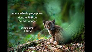 une année de piège photo sur le PNR du Doubs horloger - année 2021 - 2 sur 2