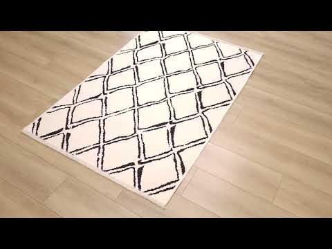 Scandinavian Patterned Black Cotton Rug — review video cover image