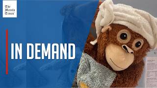 Viral orangutan plushie favored by abandoned monkey sold out screenshot 4