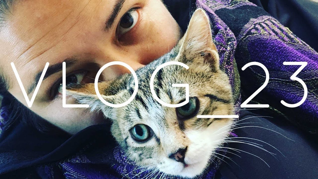 VLOG_23 Walking the kitten