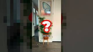 TOP 3 HOUSEPLANTS you NEED to be growing