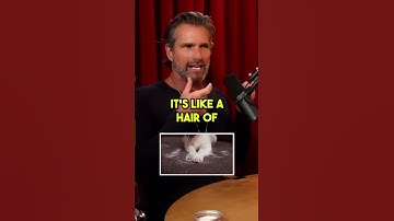 Answer the question!