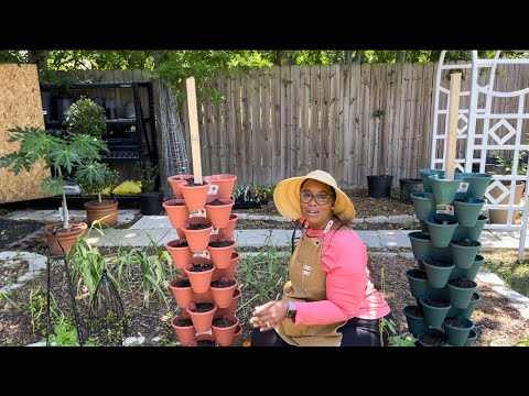 Setting up a Vertical Planter system using Dollar Tree Stackable Planters