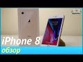 Обзор iPhone 8. Стоит ли покупать его в 2018 году?