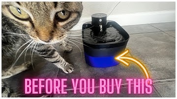 Battery Operated Cat Water Fountain with Motion Sensor – Easy Hydration for Cats
