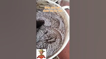 Ở đây có sốt chẩm chéo thần thánh chuẩn dân tộc Thái các bác ơi #chamcheotv #chamcheotaybac