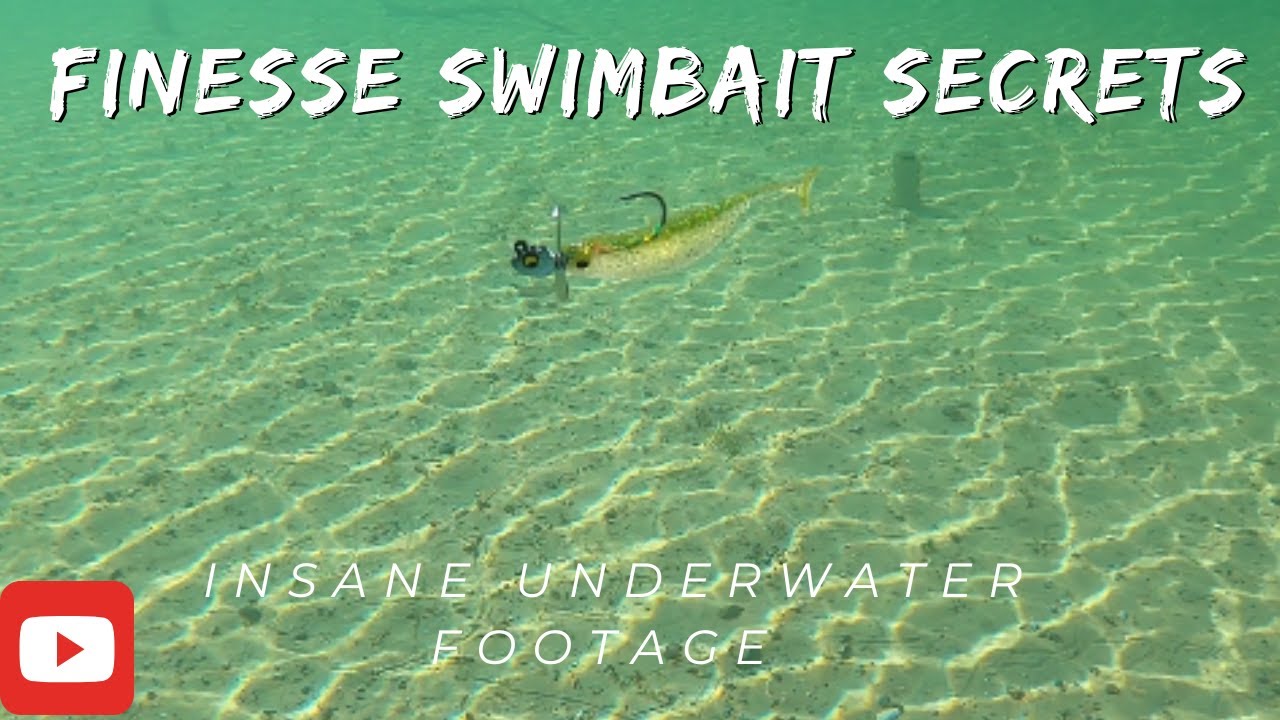 Ultimate finesse swimbaits guide underwater bass fishing action! YouTube