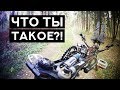 ЧТО ТАКОЕ ЛИГЕРАД? НА ЧТО СПОСОБЕН РИНЦЛЕР?