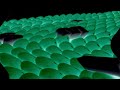 Samsung Logo Balls Feels Dizzy V2 