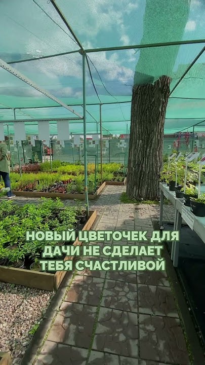 Дачники, кто узнал себя? - YouTube