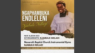 Ngaphambuka Endleleni