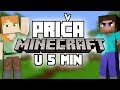 Prica Minecrafta U 5 Minuta