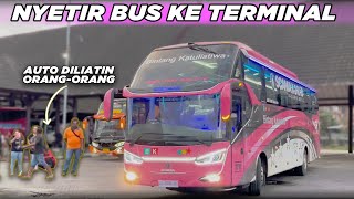 GABUT, NYETIR BUS BARU BINTANG KATULISTIWA DARI TERMINAL DAYA MAKASSAR