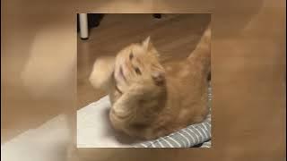 gamma1 - bukan cinta 1 atau 2 (sped up)